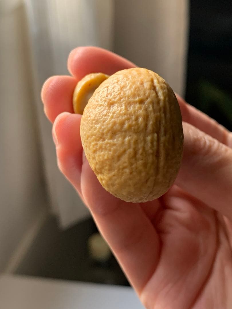 アラシャンゴビアゲート　蒙古瑪瑙　原石　水石　翡翠　オパール　根付　天珠 翡翠