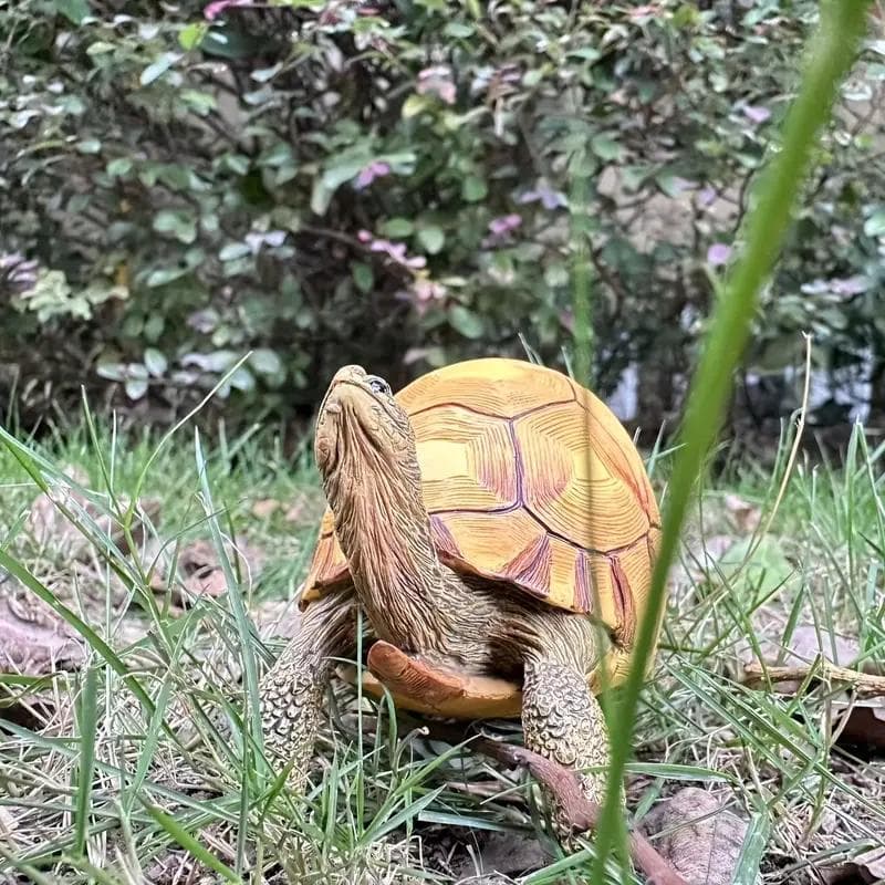 ヘサキリクガメ 10cm×7.3ｃｍ　クモノスガメ属 フィギュア リクガメ