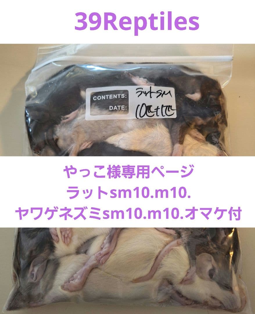 やっこ ラットsm10.m10. ヤワゲネズミsm10.m10.オマケ付