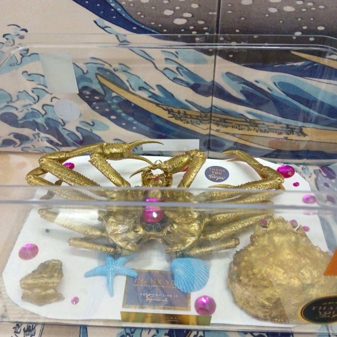 松葉蟹[セコガニ］ゴールドカラーオリジナル全長２３センチ立体リアル標本飾り置物