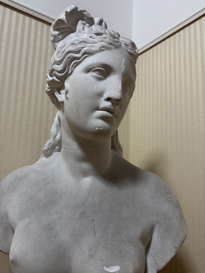 石膏像　カピトリーノのヴィーナス胸像(カッパ)　大型