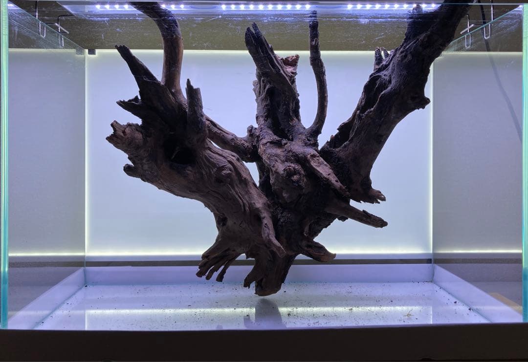 【流木】リベラ　ウッドサージXL