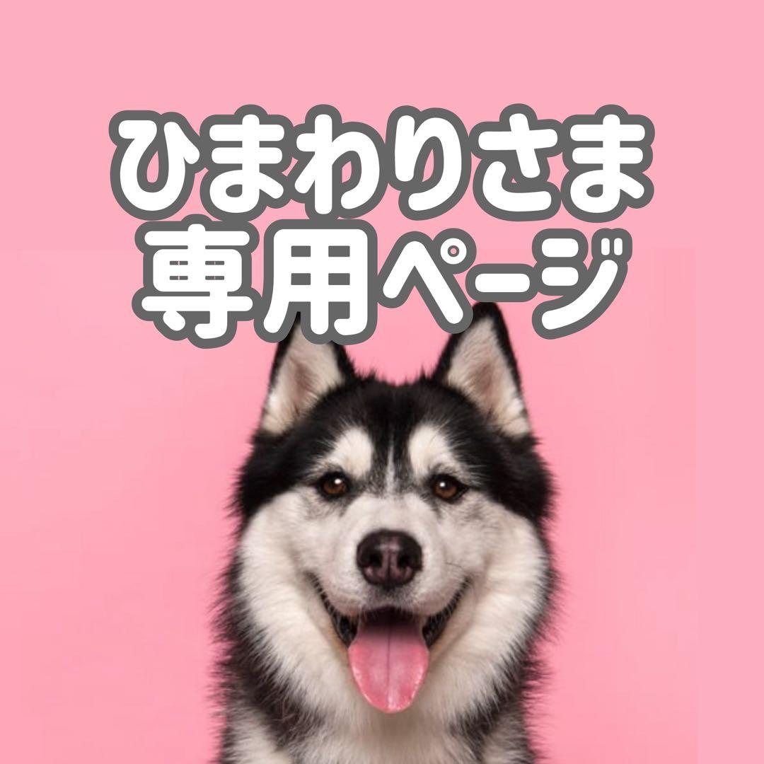 IS18小◯●ひまわりページ●◯