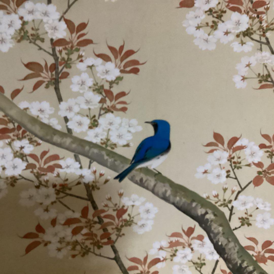 O-6 桜花の図　尚文　　桜と青い鳥の掛軸