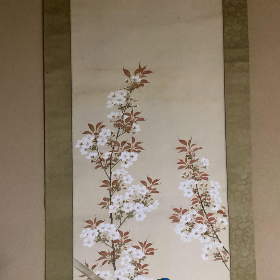 O-6 桜花の図　尚文　　桜と青い鳥の掛軸