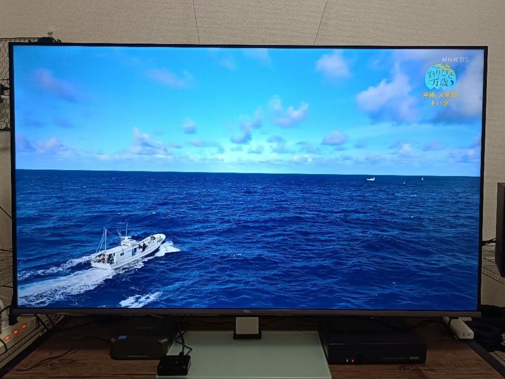 TCL 50P63H 4K チューナーレステレビ