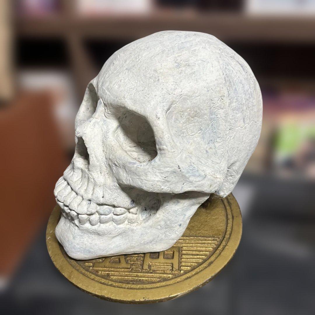 ホワイトスカル（頭蓋骨）