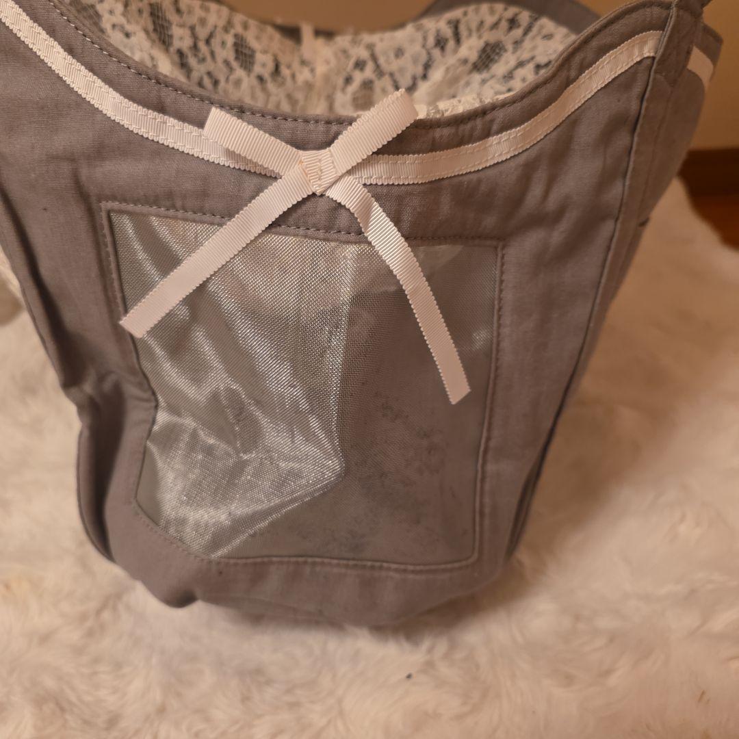 Luxembourg birdie ペット用キャリーL