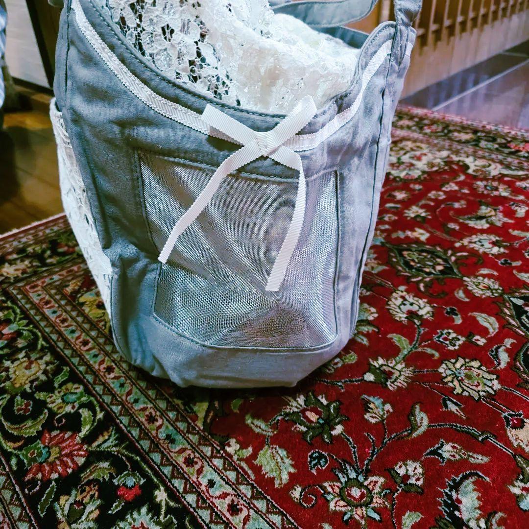 Luxembourg birdie ペット用キャリーL