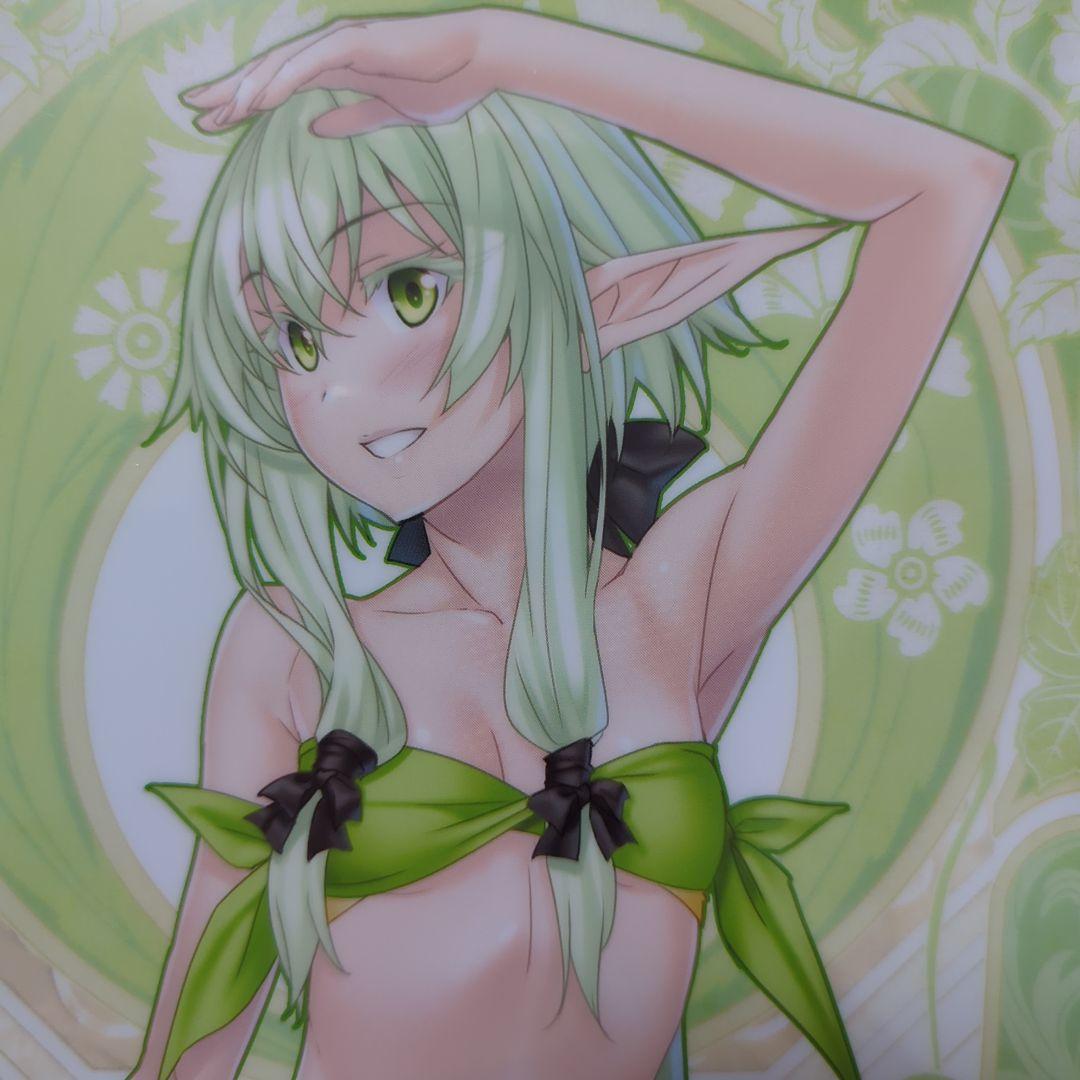 送料無料★★4枚 A4クリアファイル神奈月昇/ゴブリンスレイヤー/ゴブスレ⑴