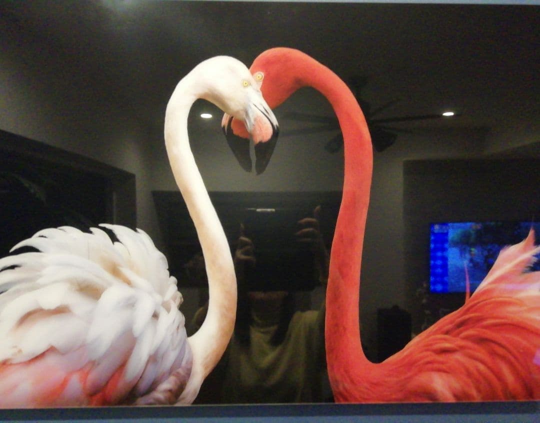 イエローコーナー（YELLOW KORNER）フォトアート