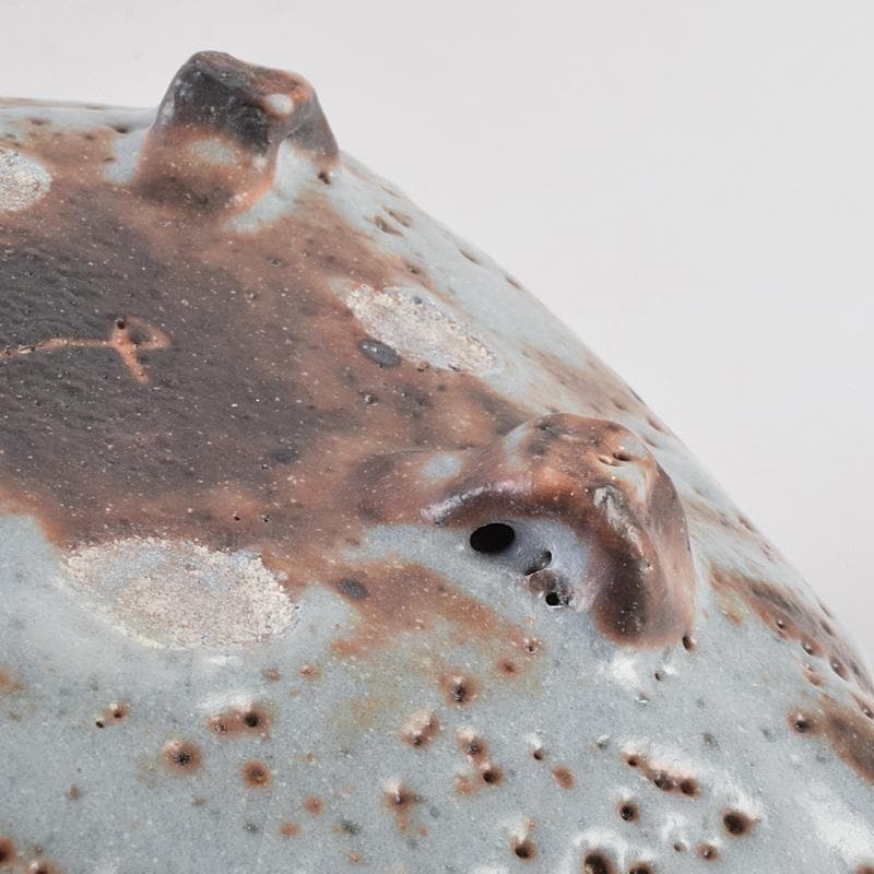 和食器　美土里窯　鼠志野　草文　向付　五客　共箱　M　R9246B