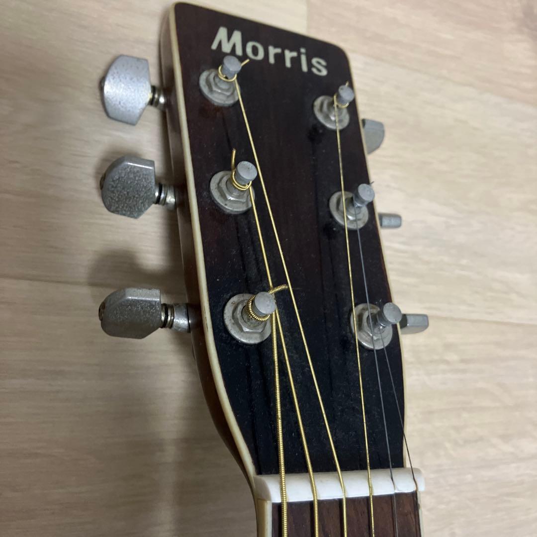 Morris アコースティックギター W-30