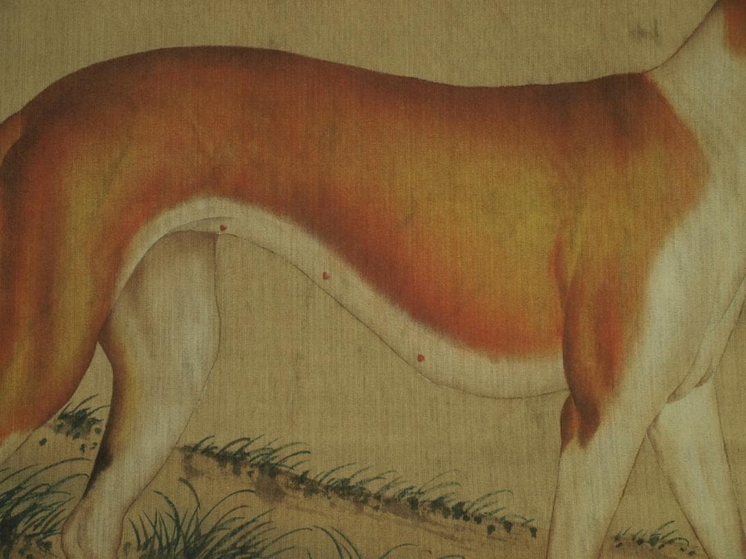 【骨董掛け軸】犬図 中国郎世寧　 清時代 肉筆保證 唐物 BD545C11-4