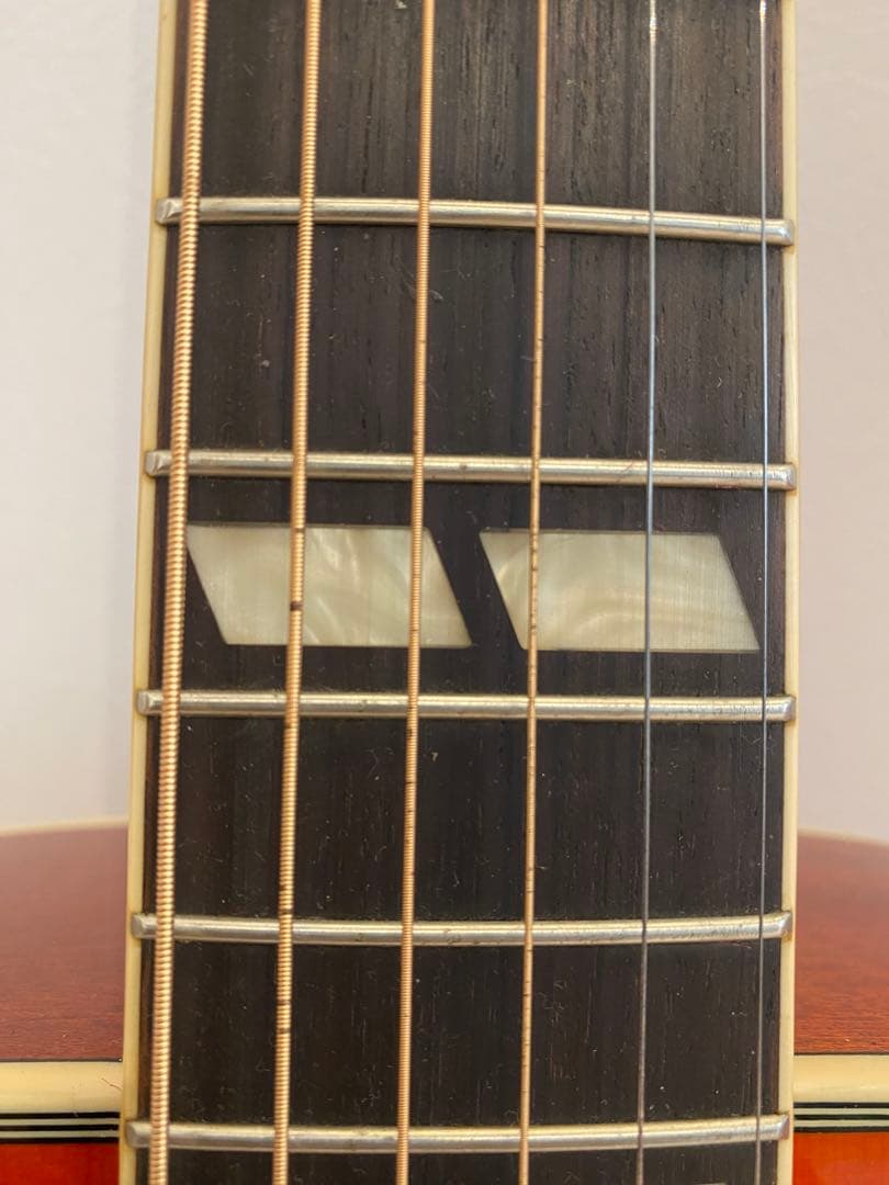 エピフォンEpiphoneHummingbird Pro/FC ハードケース付き