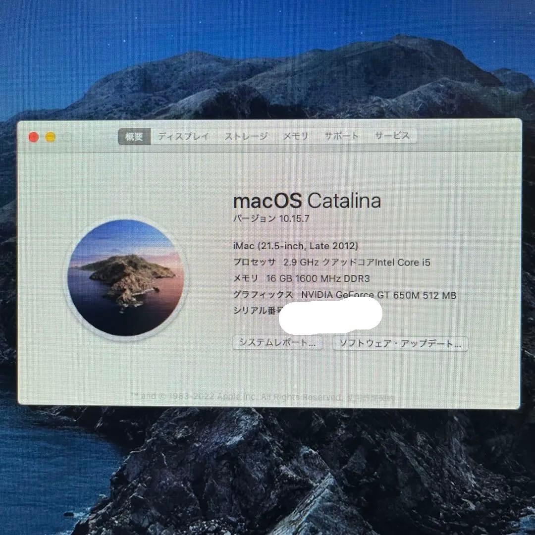 Macデスクトップ iMac 21.5/Core i5 2.9GHz/16GB/SSD1TB