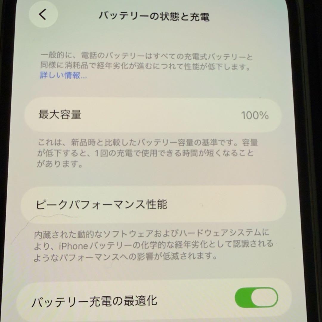 Apple iPhone 13 Pro Max アルパイングリーン 本体