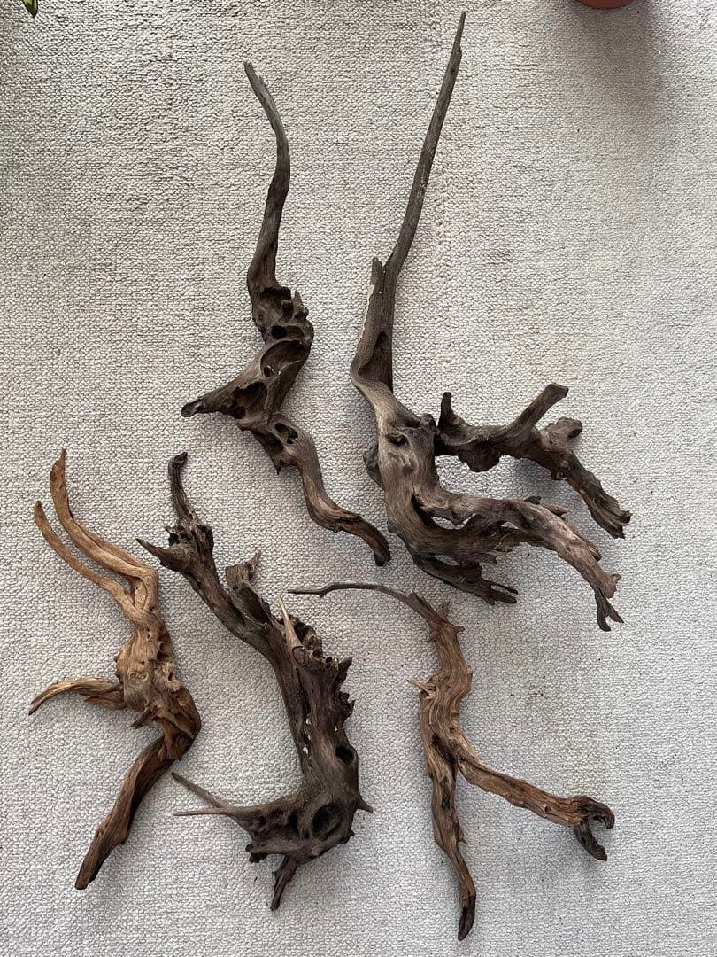 水槽用流木5本+石7個セット アクアリウム