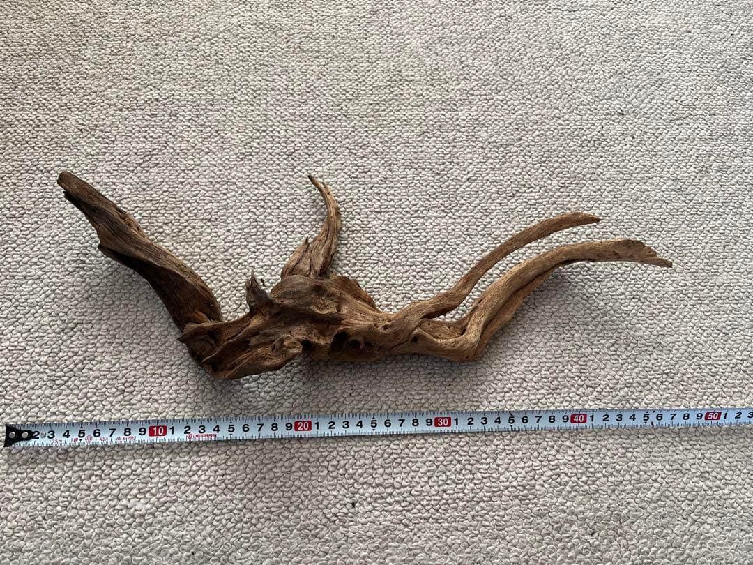 水槽用流木5本+石7個セット アクアリウム