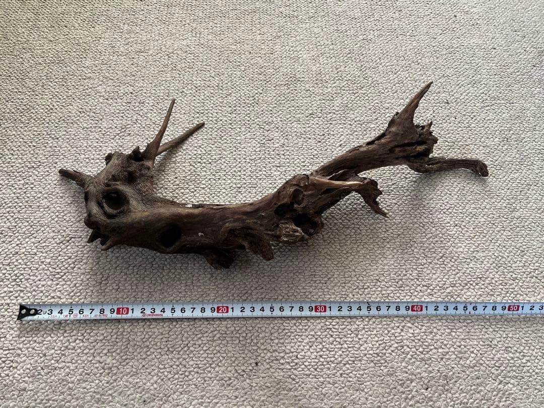 水槽用流木5本+石7個セット アクアリウム