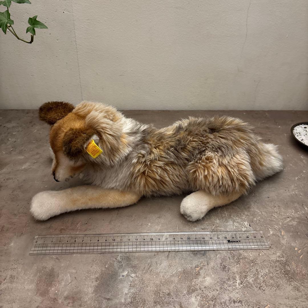 シュタイフ　コリー　オールドシュタイフ