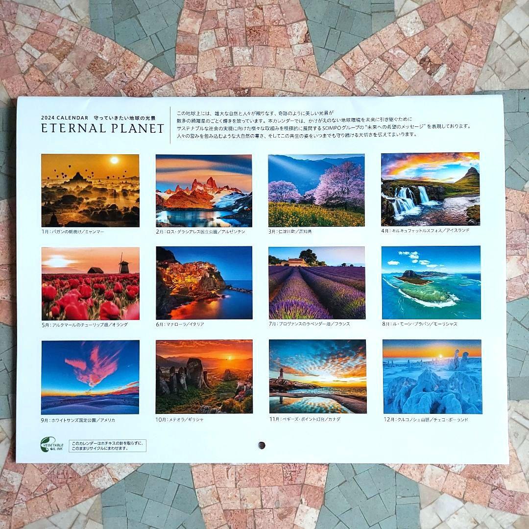 損保ジャパンカレンダー 2024年 令和6年