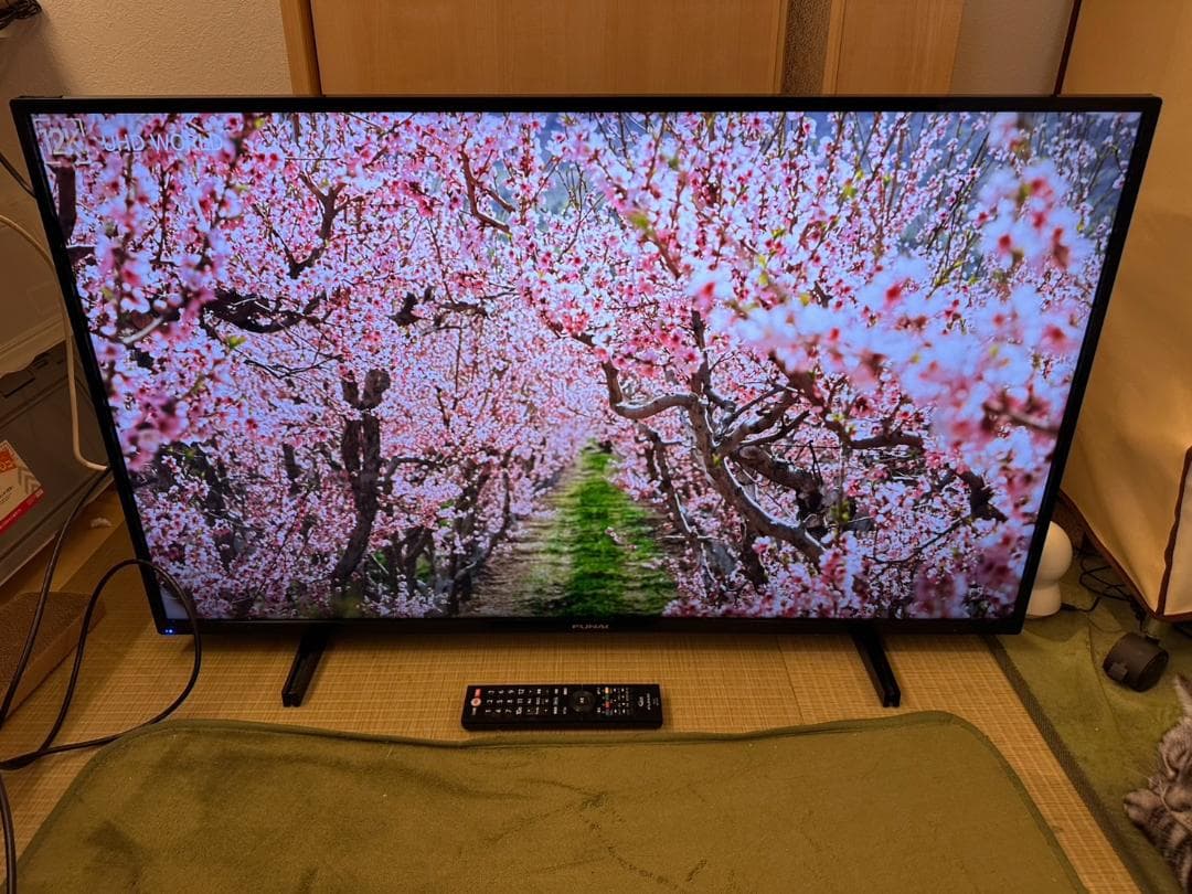 funai フナイ　43型 テレビ FL-43U3130　20年製　4K対応！