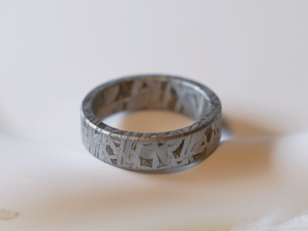 【宇宙の指輪】アルタイ隕石リング 原色　19.0mm ウィドマンシュテッテン模様