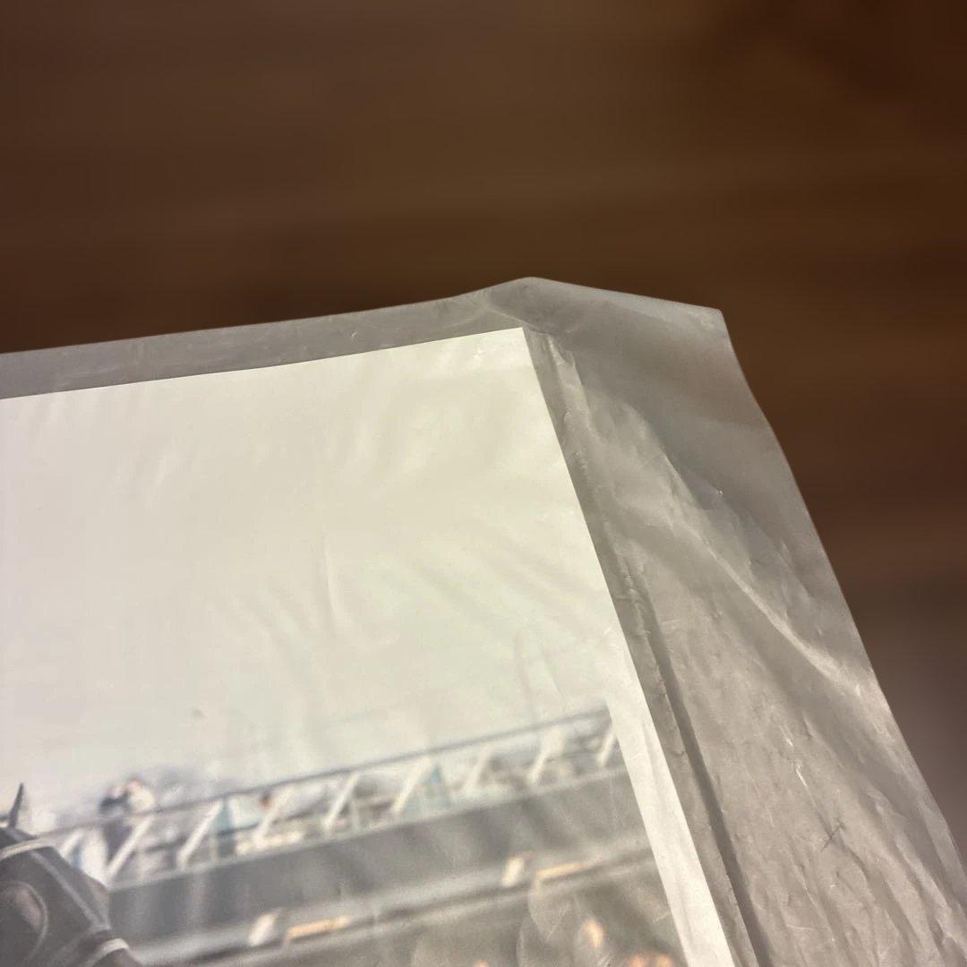 第29回フェブラリーステークス 記念印刷物　テスタマッタ