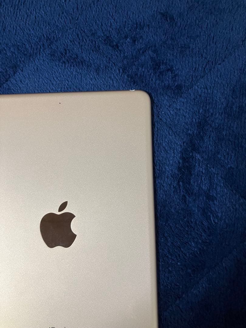 Apple iPad mini (第5世代) 64GB