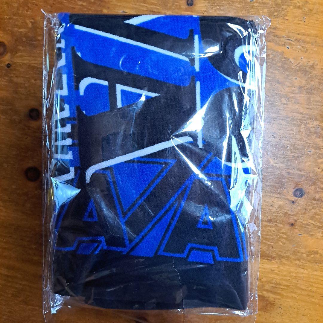 Do It! YAZAWA 2025 コンサートSS席グッズセット