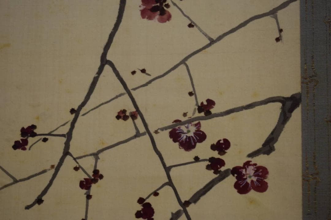 真作/菊池芳文/紅梅に雀図/紅梅に小禽図/桐共箱二重箱付/布袋屋掛軸HI-250