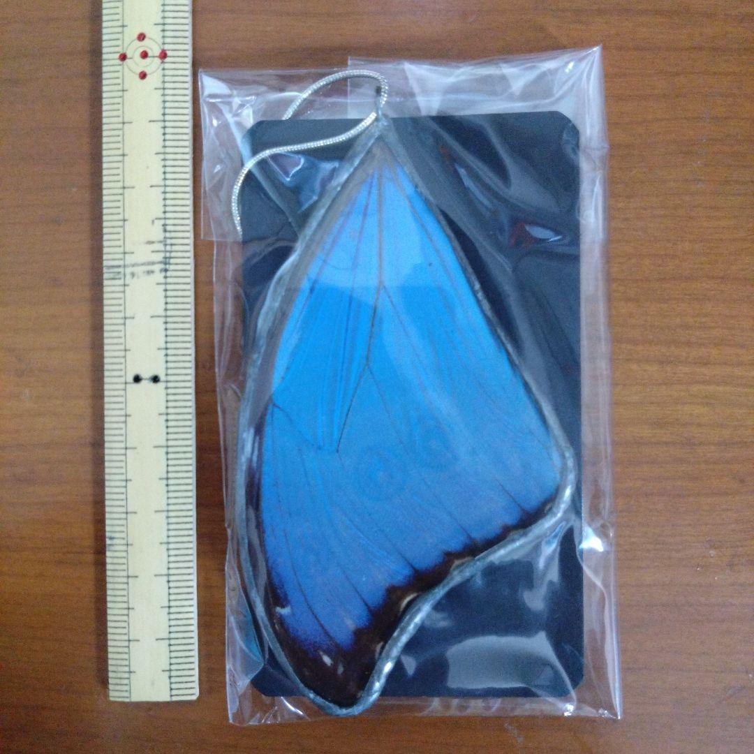 モルフォ蝶 ペンダント ネックレス