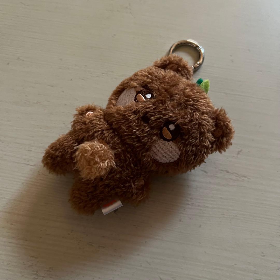 ATEEZ ANITEEZ チョンベア ジョンホ グッズまとめ売り