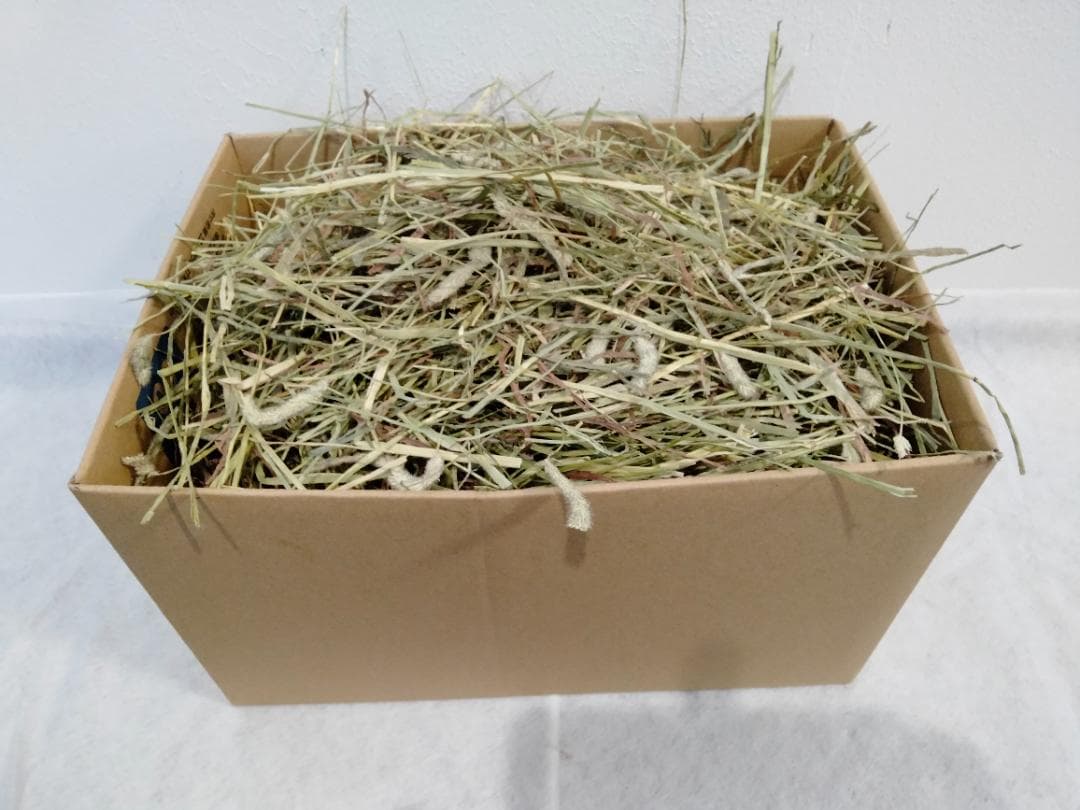 【4/13まで】 カナダ産 チモシー 50kg スーパープレミアム １番刈り