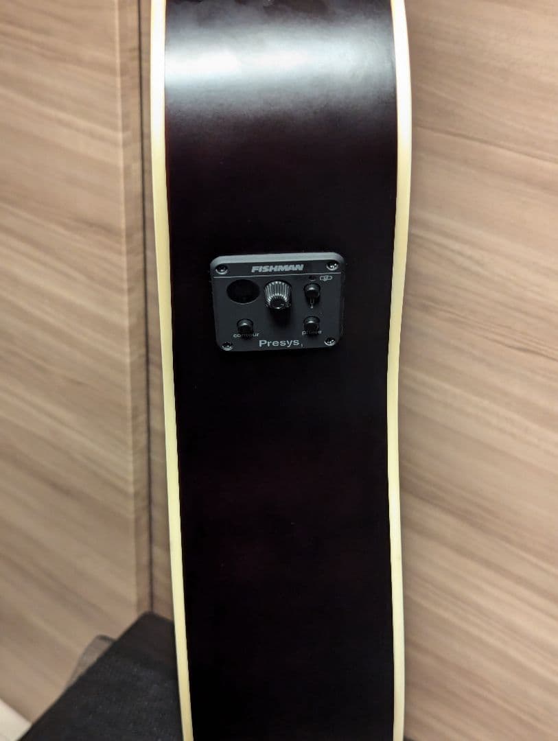 エレアコ Recording King RDS-9-12-FE5-TS 12弦