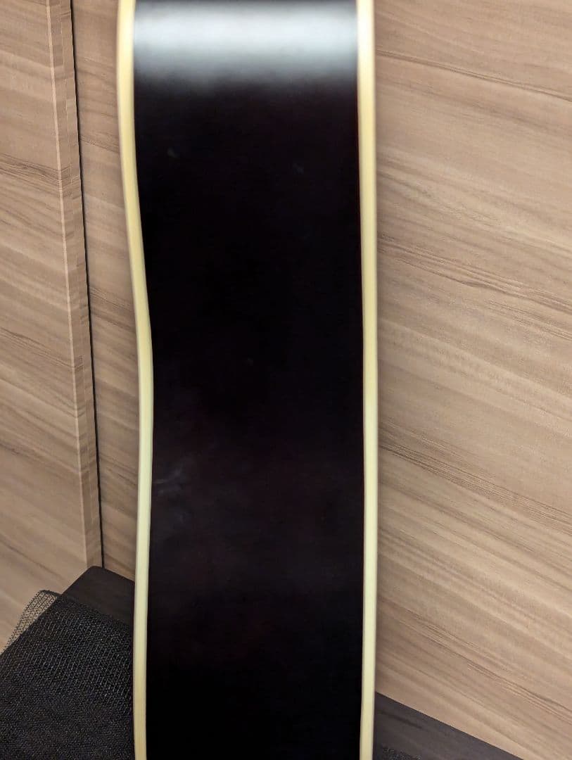 エレアコ Recording King RDS-9-12-FE5-TS 12弦