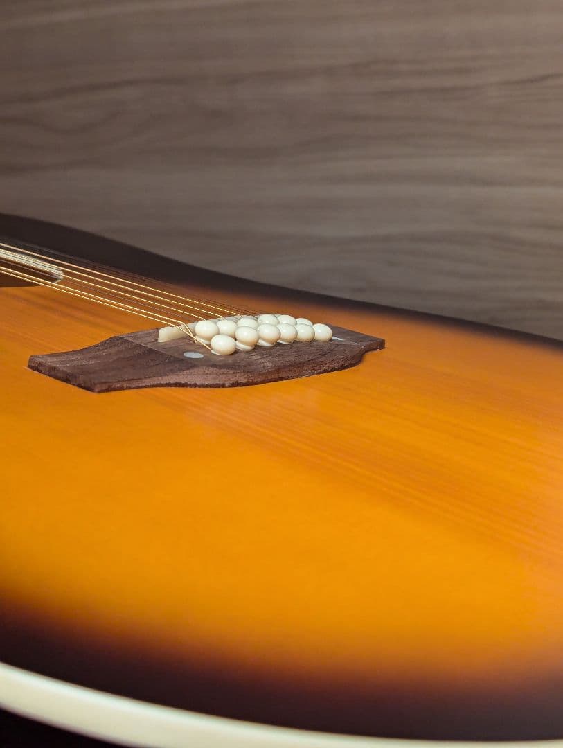 エレアコ Recording King RDS-9-12-FE5-TS 12弦