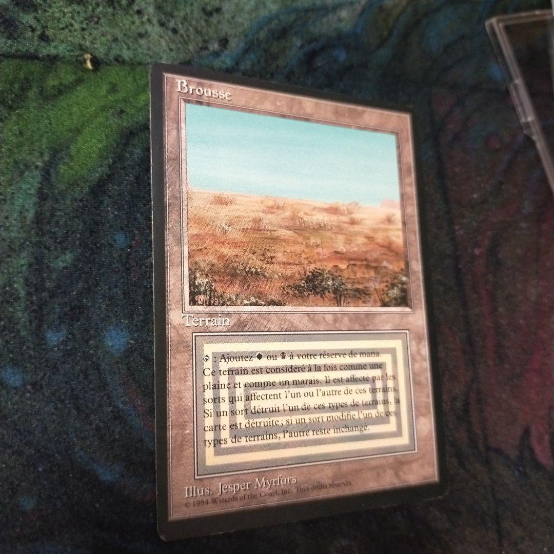 MTG scrubland フランス語版　FBB 黒枠