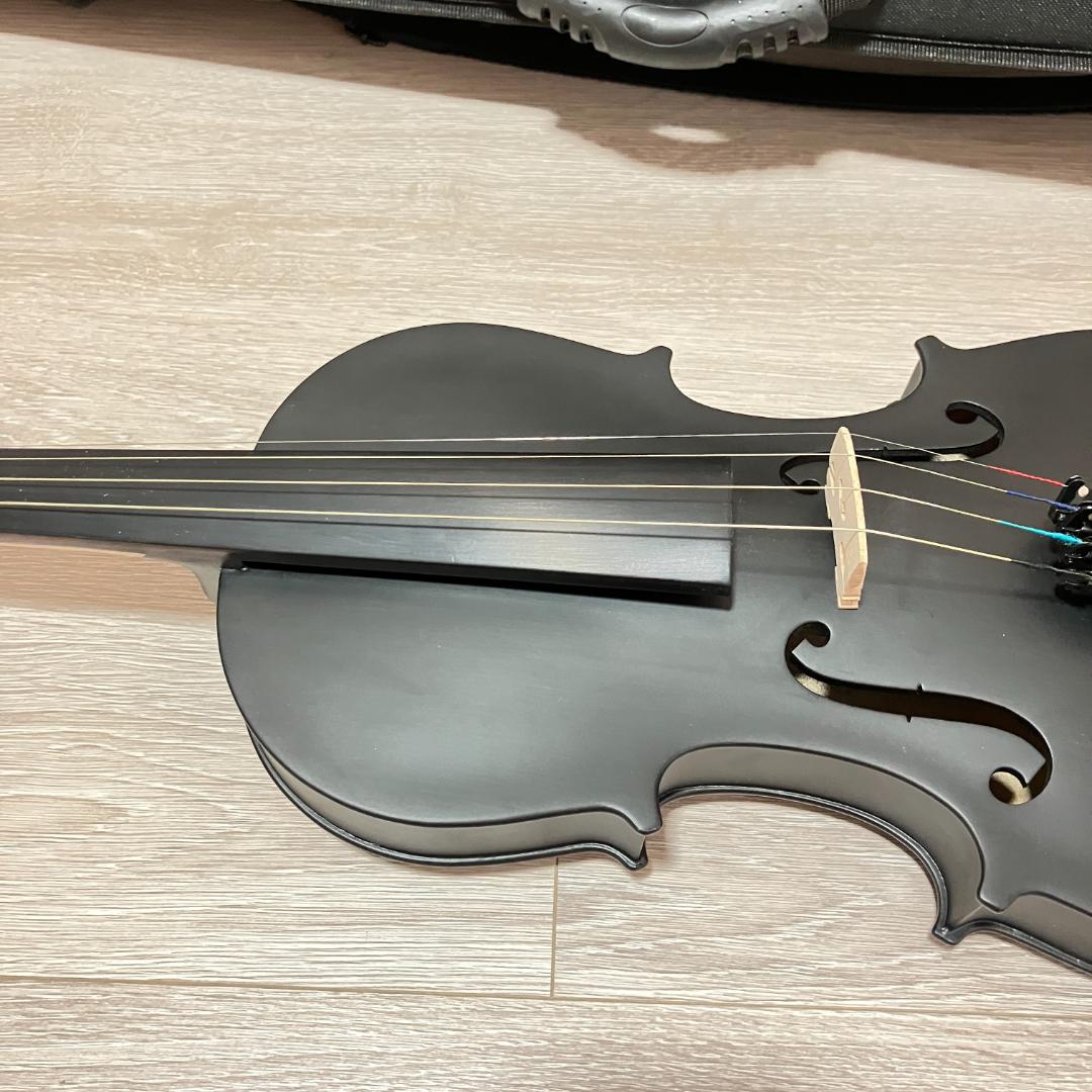 バイオリン Hallstatt V-12 BK 4/4 ケース付属 初心者向け