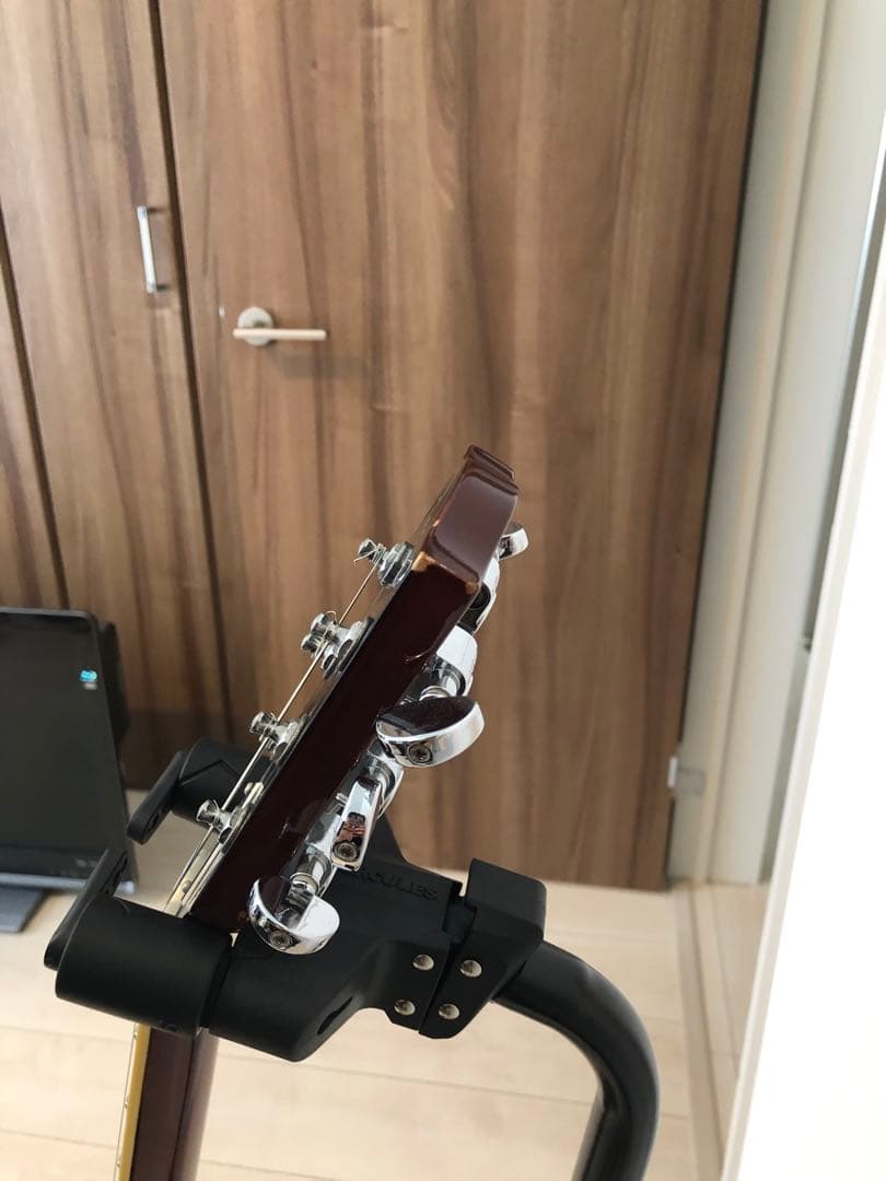 Fujigen フジゲン　レスポールタイプ　NLS−20R