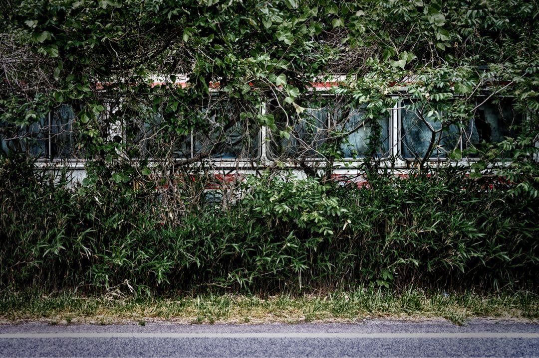 Voigtlander APO-LANTHAR 50mm F2 zマウント