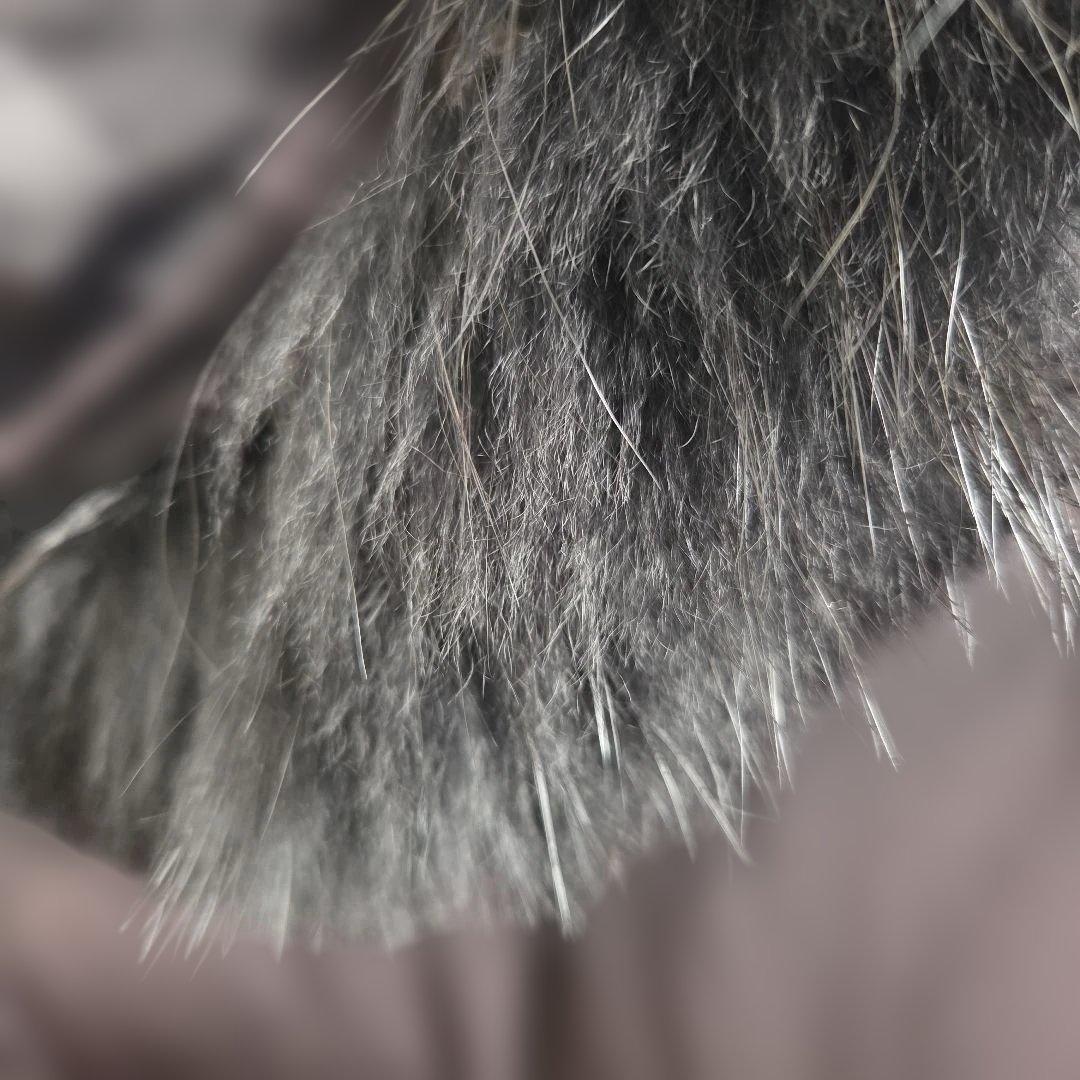 バーバリーブラックレーベル タヌキ毛 ダウンジャケット XL 黒 クリーニング済