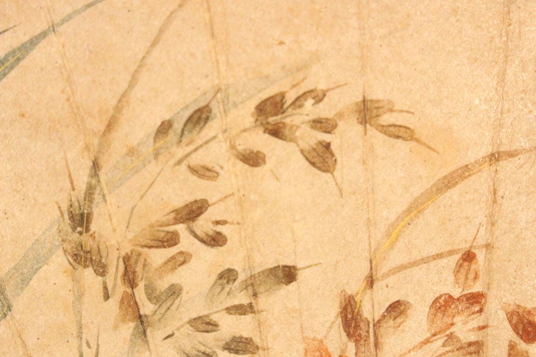 No5265 掛軸　酒井抱一　稲穂図　扇面　紙本着色　陶器軸先　合箱　送料無料