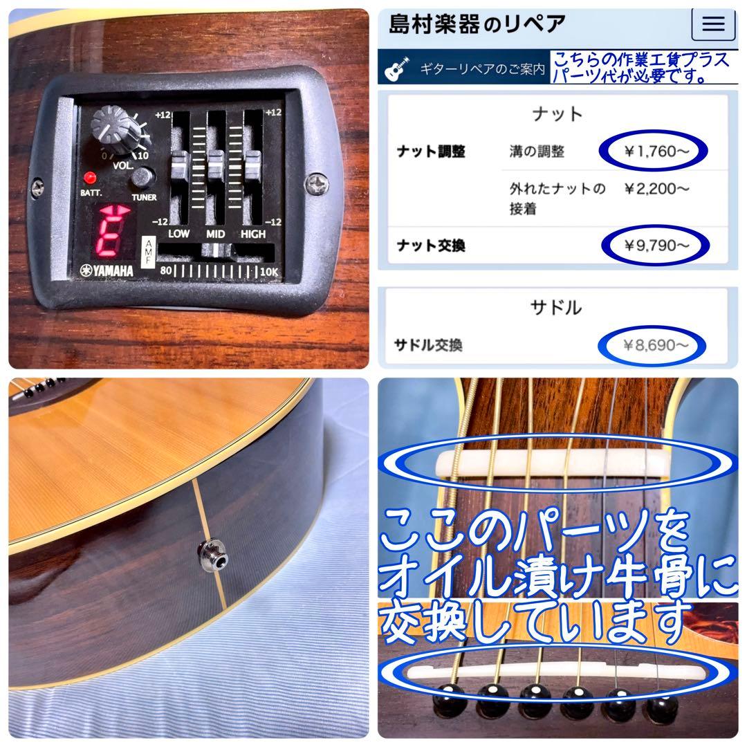 【牛骨☆エレアコ】ヤマハ！少し小ぶり！FSX730SC【弾き易く調整☆新品の弦】