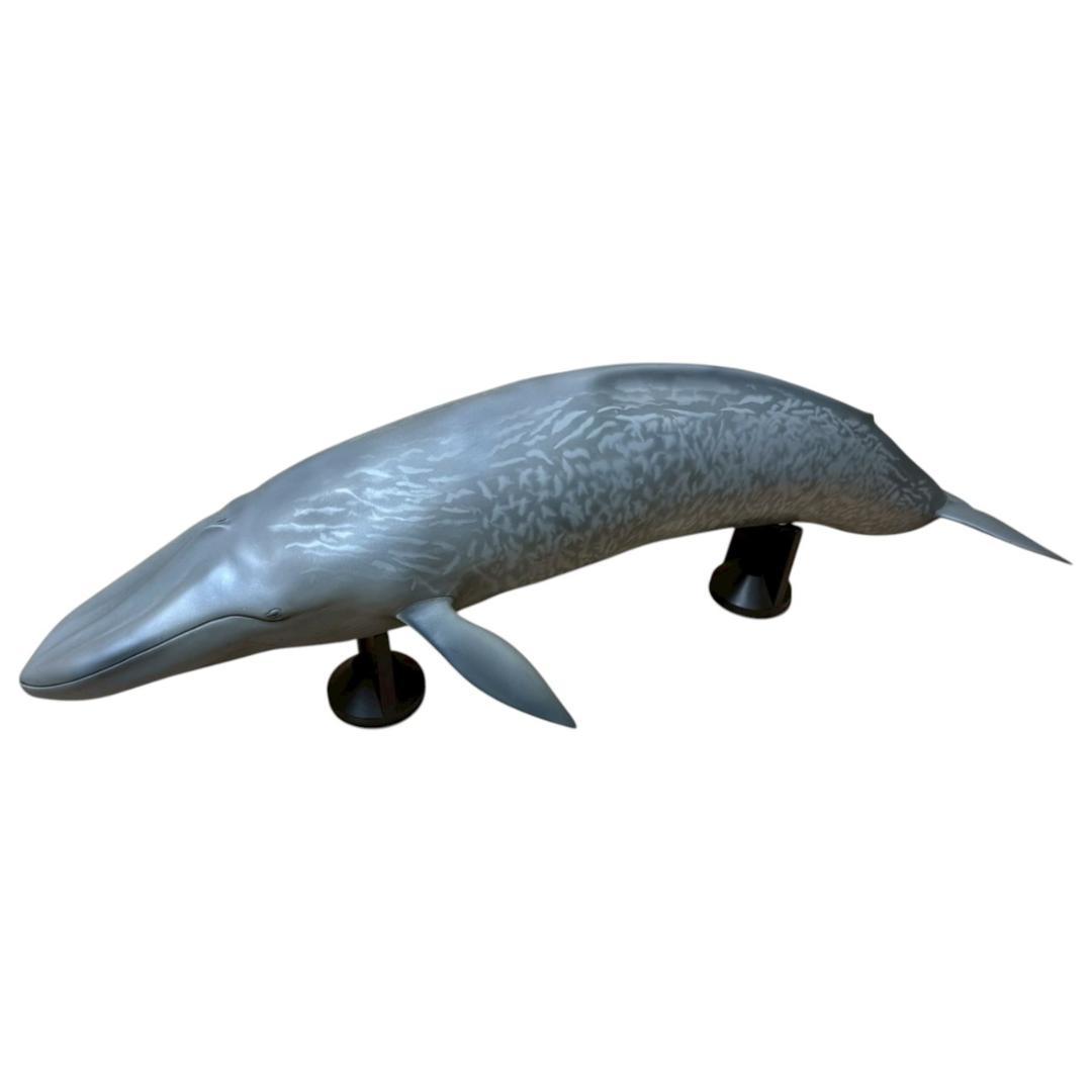 【メガソフビアドバンス】 シロナガスクジラ MSA-004 全長70cm