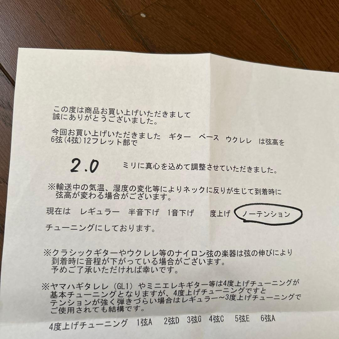 s.yairi YM-02 NTL ミニアコースティックギター弦高調整済み