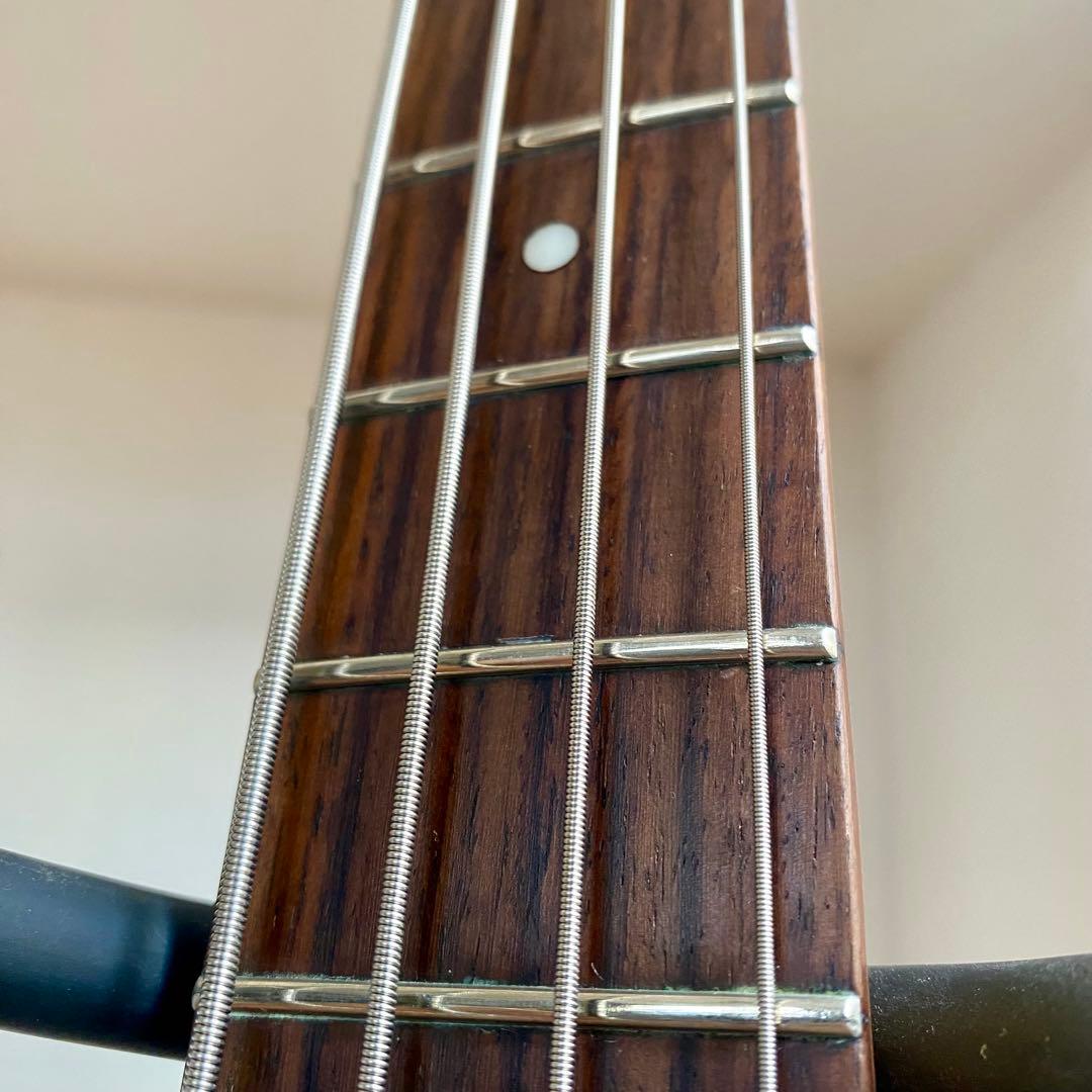 Epiphone T-Bird PRO Thunder Bird 4弦