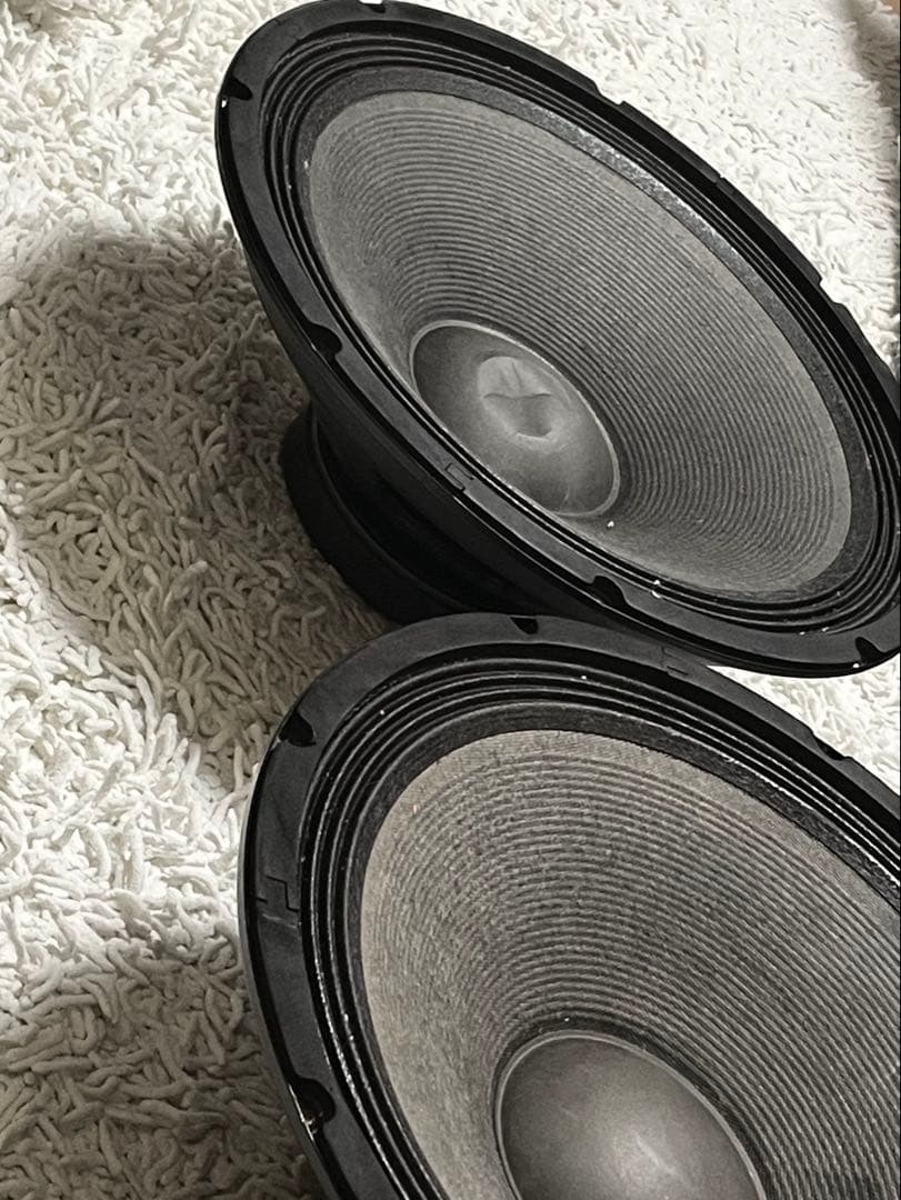 ClassicPRO15インチ 外向きユニット2個セット