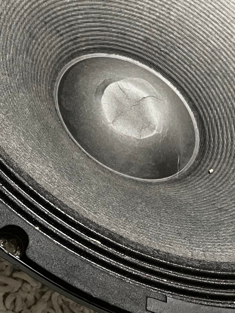 ClassicPRO15インチ 外向きユニット2個セット